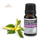 Ylang Ylang III Illóolaj 10 ml 