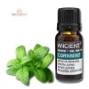 Menta Illóolaj 10 ml 