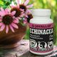 Echinacea 60db - JAVALLAT®