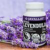 Orvosi Levendula 60db - JAVALLAT®