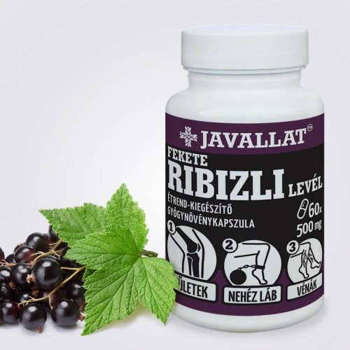 Fekete Ribizli Levél 60db - JAVALLAT®