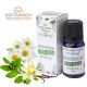 Stamford Növényi Alapú Meditáció Aromaolaj (10ml)